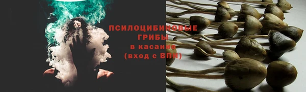 Альфа ПВП Каменногорск