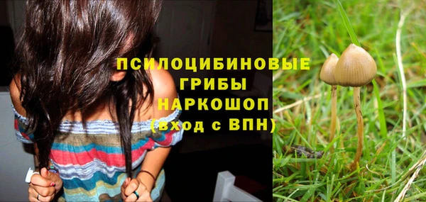 прущая мука Нея